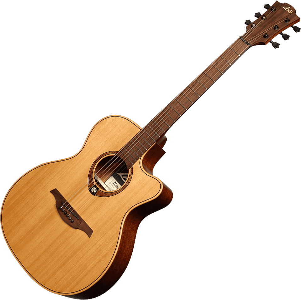 Guitare électro-acoustique T170ACE