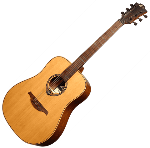 Guitare acoustique T170D