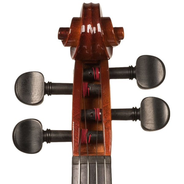 Violon V100