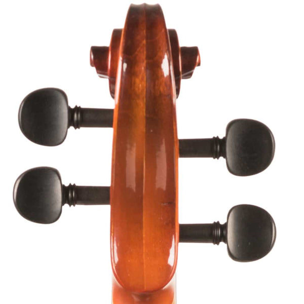 Violon V100
