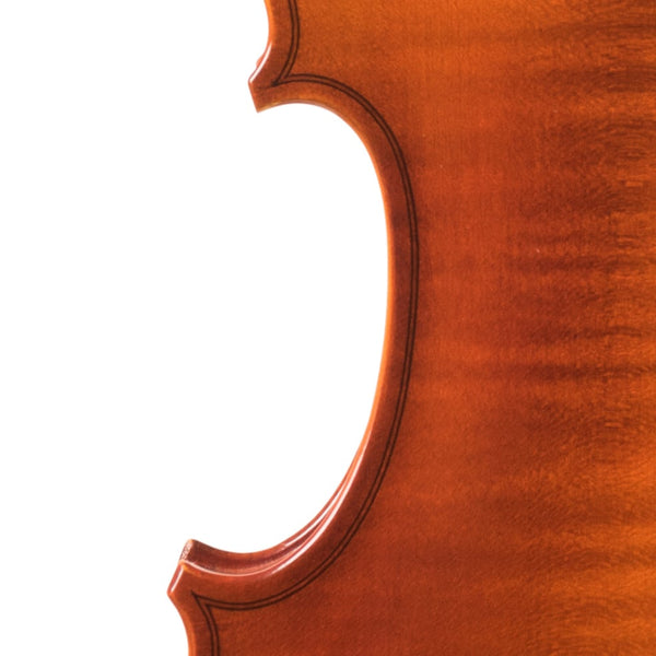 Violon V100