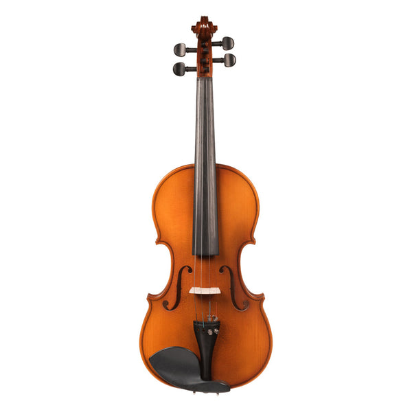 Violon V100