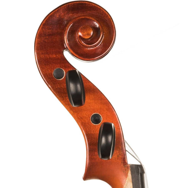 Violon V100
