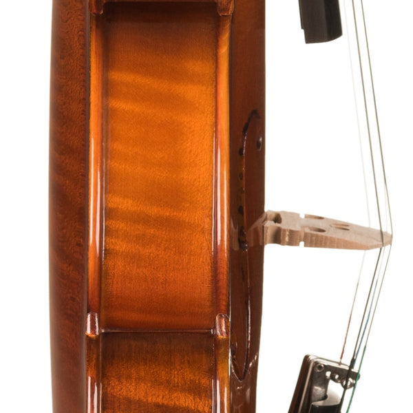 Violon V100