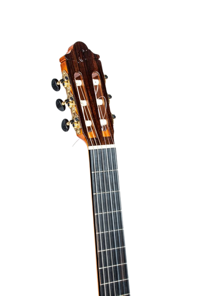 Guitare classique SP6 Table épicéa ou cèdre